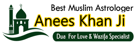 Astrologer Moulana Anees Khan